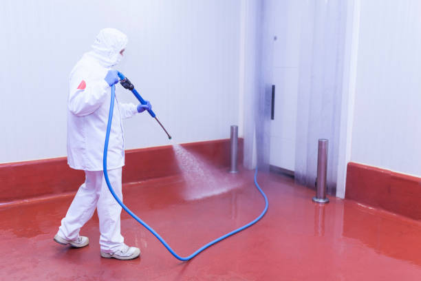 Reliable Waterloo, NE Pressure Washing Solutions