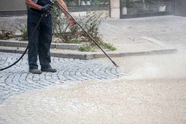 Best Sidewalk and Walkway Cleaning  in Waterloo, NE