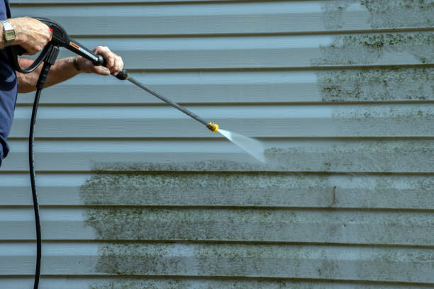 Best Gutter Cleaning  in Waterloo, NE